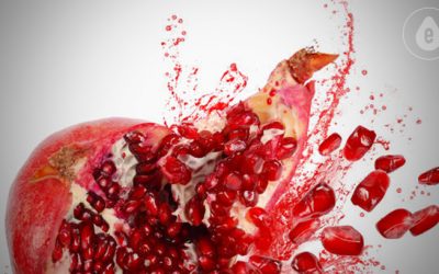 Library DeLixir ingredients — Pomegranate
