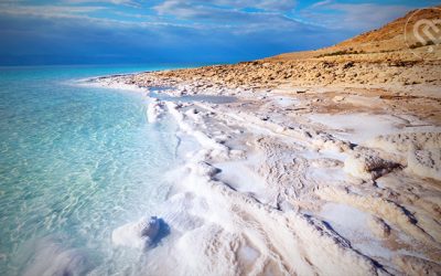 Library DeLixir ingredient – trace minerals