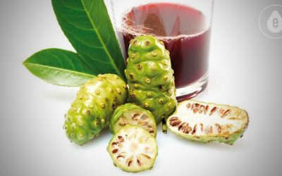 Library DeLixir ingredients – Noni Juice
