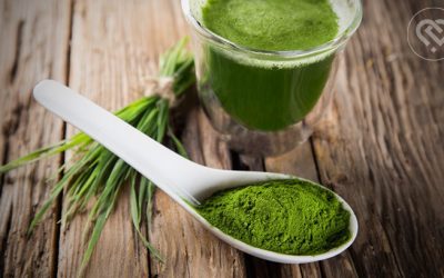 Library DeLixir ingredient – spirulina