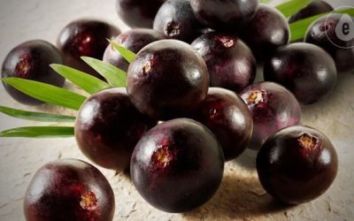 Library DeLixir ingredients — Acai Berry